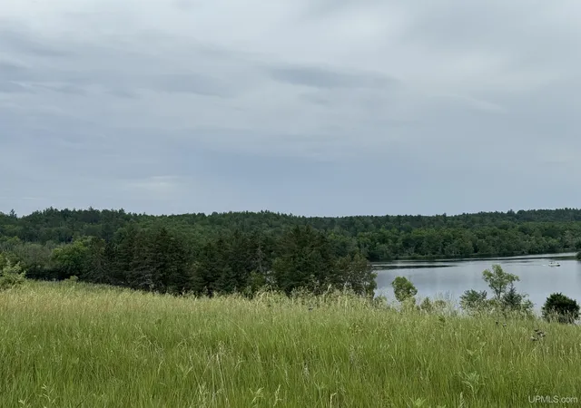 Photo 3 of Land for sale at Tbd New York Lake Rd, Vulcan, MI 49892 | MLS# 50215700 | Listing updated on 2026-07-22