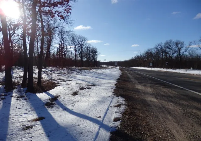 Homes for sale in Manistee, MI | None 40 Acres M 55, Manistee, MI 49660 | MLS# 70100933