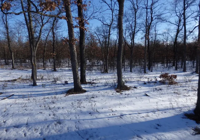 Photo 3 of Land for sale at None 40 Acres M 55, Manistee, MI 49660 | MLS# 70100933 | Listing updated on 2026-08-29