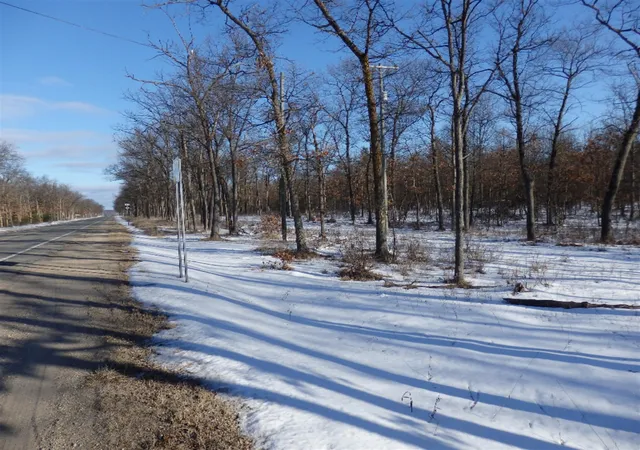 Homes for sale in Manistee, MI | None 40 Acres M 55, Manistee, MI 49660 | MLS# 70100933