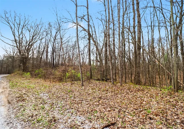 Photo 3 of Land for sale at 6940 19 Mile Rd, Cedar Springs, MI 49319 | MLS# 70526887 | Listing updated on 2026-08-24
