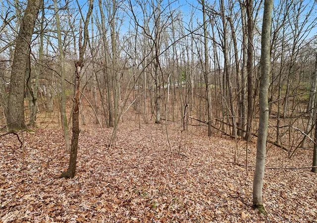Photo 3 of Land for sale at 6940 19 Mile Rd, Cedar Springs, MI 49319 | MLS# 70526887 | Listing updated on 2026-08-24
