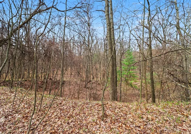 Photo 4 of Land for sale at 6940 19 Mile Rd, Cedar Springs, MI 49319 | MLS# 70526887 | Listing updated on 2026-08-24