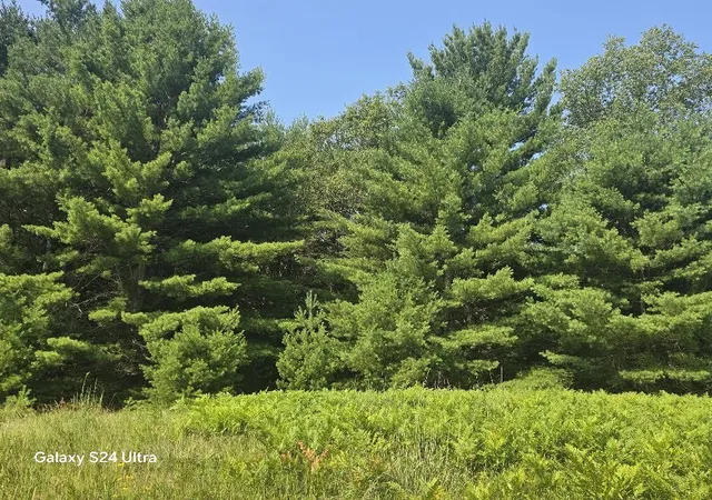 1st image of 10652 W River Rd, Irons, MI 49644 | MLS# 70553465