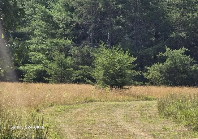 2nd image of 10652 W River Rd, Irons, MI 49644 | MLS# 70553465
