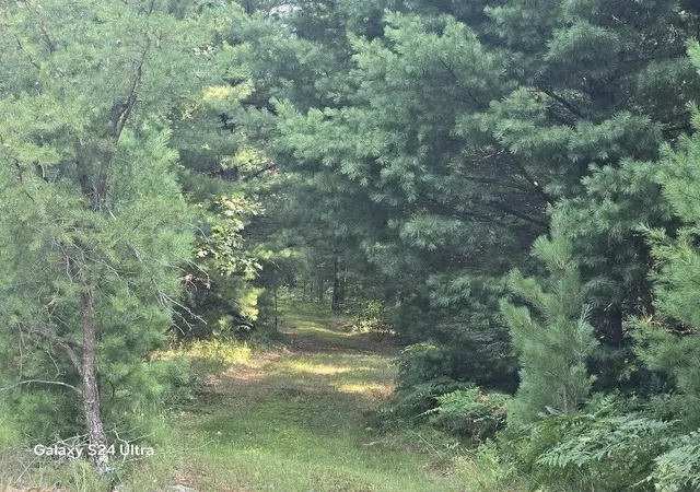 5th image of 10652 W River Rd, Irons, MI 49644 | MLS# 70553465