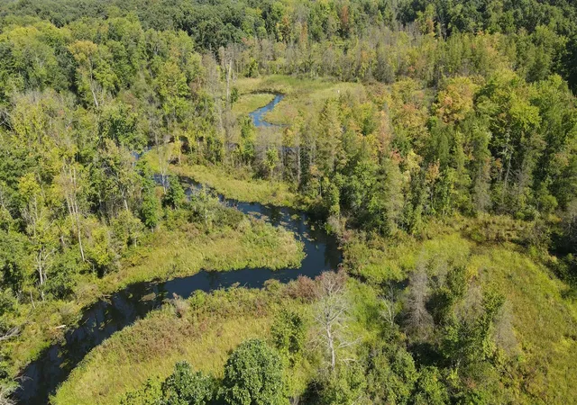 Photo 4 of Single family home for sale at 52524 Johnson Rd, Three Rivers, MI 49093 | MLS# 70555594 | Listing updated on 2026-08-31