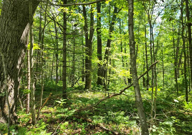 Photo 1 of Land for sale at 000 Bradley, Kalkaska, MI 49646 | MLS# 80070927 | Listing updated on 2026-07-13