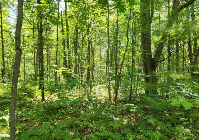 Photo 2 of Land for sale at 000 Bradley, Kalkaska, MI 49646 | MLS# 80070927 | Listing updated on 2026-07-13