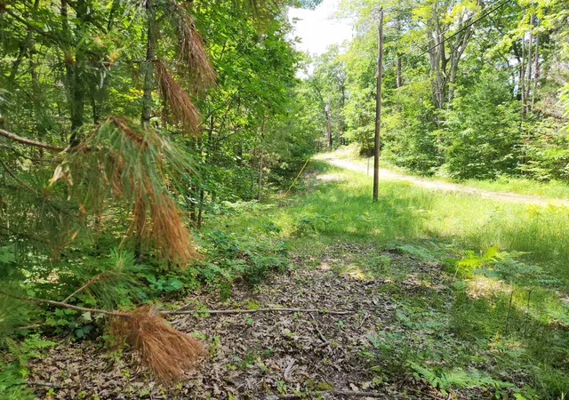 Photo 3 of Land for sale at 000 Bradley, Kalkaska, MI 49646 | MLS# 80070927 | Listing updated on 2026-07-13