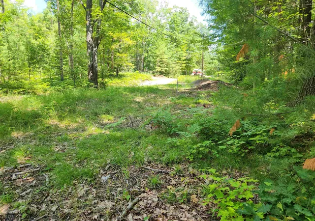 Photo 3 of Land for sale at 000 Bradley, Kalkaska, MI 49646 | MLS# 80070927 | Listing updated on 2026-07-13