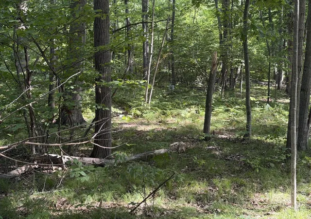 1st image of 7785 Arrowhead Dr, Weidman, MI 48893 | MLS# 80072704