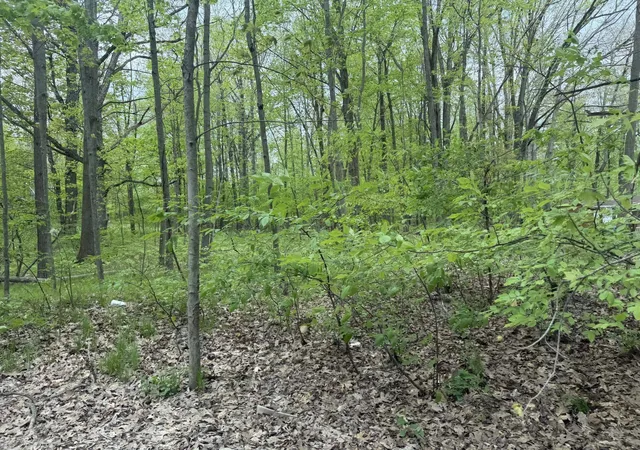 2nd image of 7785 Arrowhead Dr, Weidman, MI 48893 | MLS# 80072704