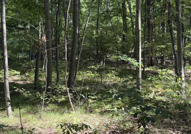 6th image of 7785 Arrowhead Dr, Weidman, MI 48893 | MLS# 80072704