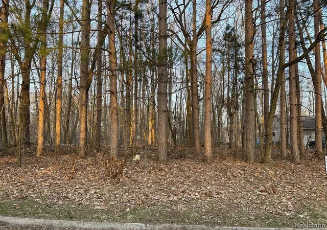 Photo 1 of Land for sale at 9127 Pineview Lake, Linden, MI 48451 | MLS# 60044101 | Listing updated on 2026-07-26