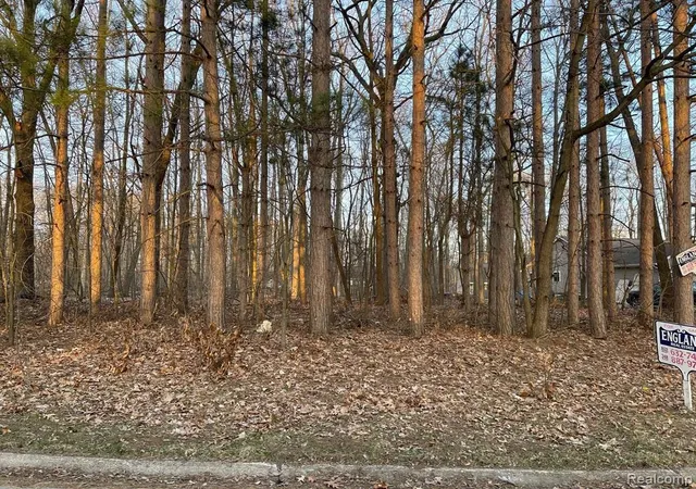 Photo 2 of Land for sale at 9127 Pineview Lake, Linden, MI 48451 | MLS# 60044101 | Listing updated on 2026-07-26