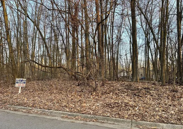Photo 3 of Land for sale at 9127 Pineview Lake, Linden, MI 48451 | MLS# 60044101 | Listing updated on 2026-07-26