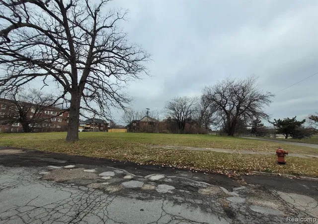 Photo 4 of Land for sale at 1546 Collingwood St, Detroit, MI 48206 1511 | MLS# 60380249 | Listing updated on 2026-08-27