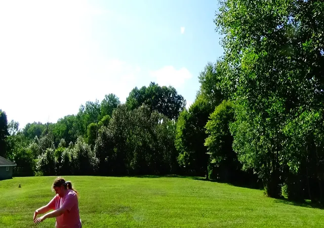 44th image of 5009 State Rd, Hale, MI 48739 | MLS# 50217905