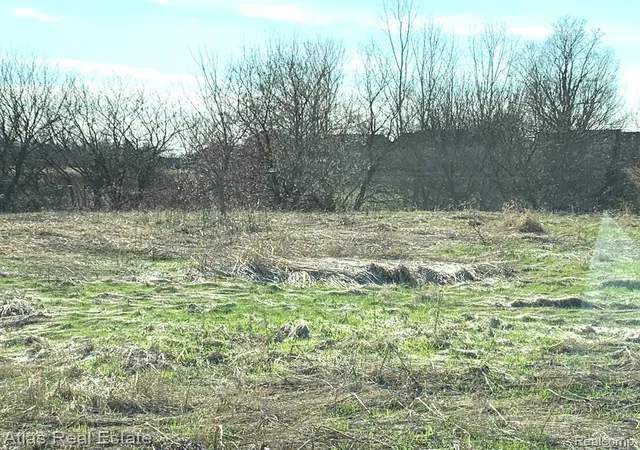 Photo 3 of Land for sale at 0 N State Rd, Davison, MI 48423 | MLS# 60968347 | Listing updated on 2026-08-19