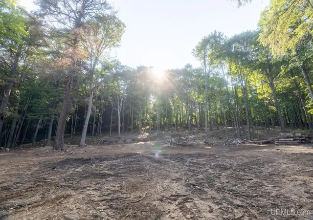 Photo 5 of Land for sale at 229 Smoky Lake Rd, Iron River, MI 49935 | MLS# 50217486 | Listing updated on 2026-08-21