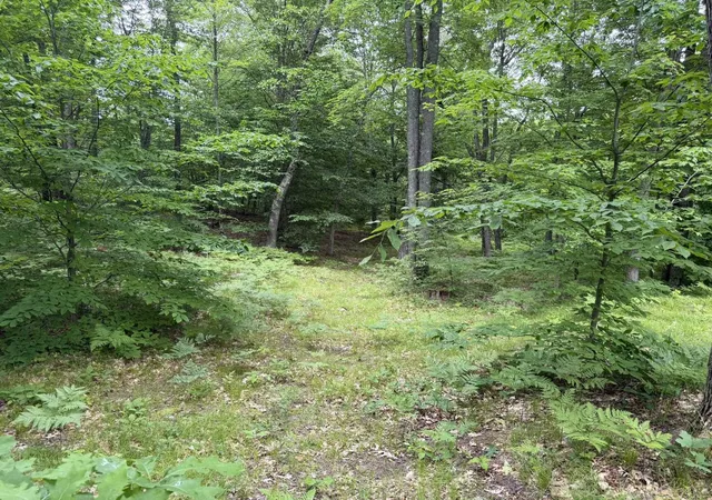 86th image of 8696 E Hillview Trl #Lot: 12, Reed City, MI 49677 | MLS# 80069890