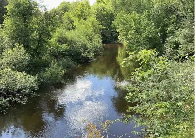 Photo 1 of Sale Pending at V/l S Forward Rd, Falmouth, MI 49632 | MLS# 70551597 | Listing updated on 2026-08-21