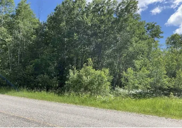 Photo 2 of Sale Pending at V/l S Forward Rd, Falmouth, MI 49632 | MLS# 70551597 | Listing updated on 2026-08-21