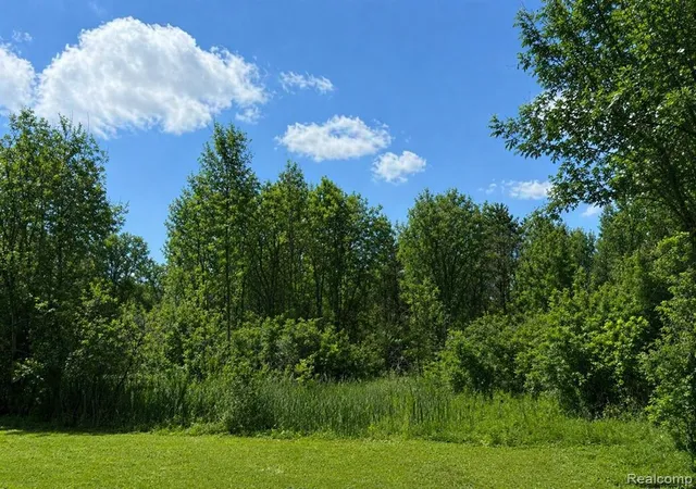 3rd image of 1223 Lexa Ln, Flint, MI 48507 | MLS# 60974712