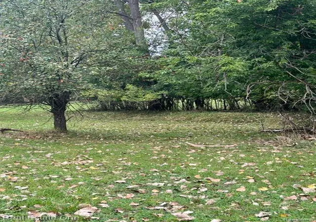 2nd image of 000,001,002,003 Walton   Possible 4 Home Sites, Rochester Hills, MI 48307 | MLS# 60146527