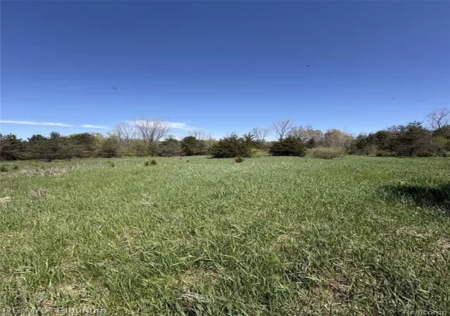 2nd image of Parcel 2 Pineway Trail, Howell, MI 48855 | MLS# 60989762