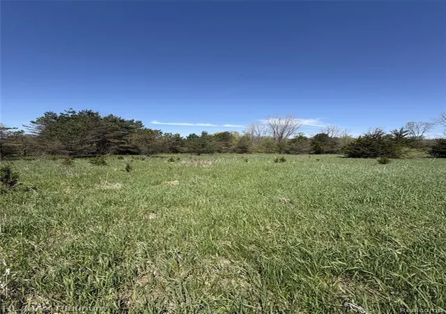 4th image of Parcel 2 Pineway Trail, Howell, MI 48855 | MLS# 60989762