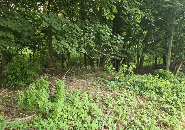 11th image of V/l E Washington St, Greenville, MI 48838 | MLS# 70541230