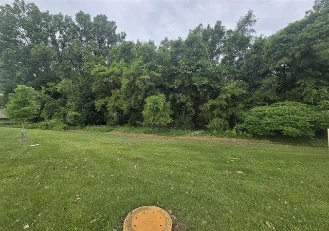 3rd image of V/L E Washington St, Greenville, MI 48838 | MLS# 70541230