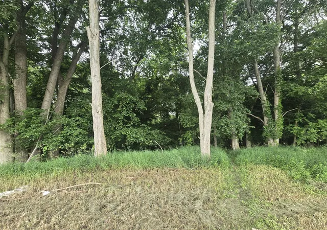 5th image of V/L E Washington St, Greenville, MI 48838 | MLS# 70541230
