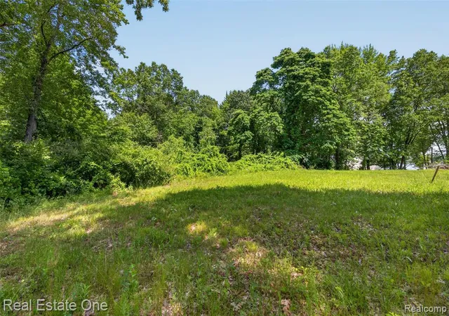 Photo 19 of Land for sale at 0000 Big Lake, Davisburg, MI 48350 | MLS# 61011891 | Listing updated on 2026-07-20