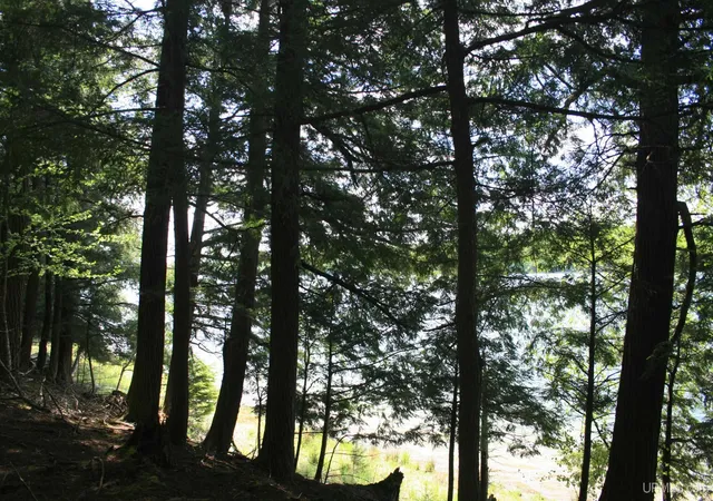 Photo 3 of Land for sale at Tbd Smoky Lake Rd, Stambaugh, MI 49935 | MLS# 50208668 | Listing updated on 2026-06-17