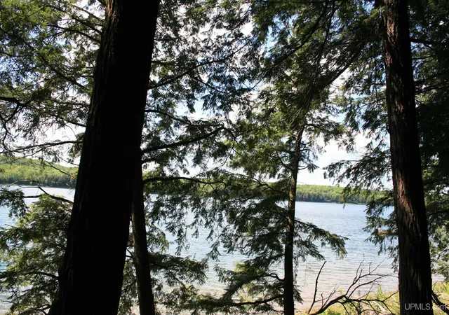 Photo 4 of Land for sale at Tbd Smoky Lake Rd, Stambaugh, MI 49935 | MLS# 50208668 | Listing updated on 2026-06-17
