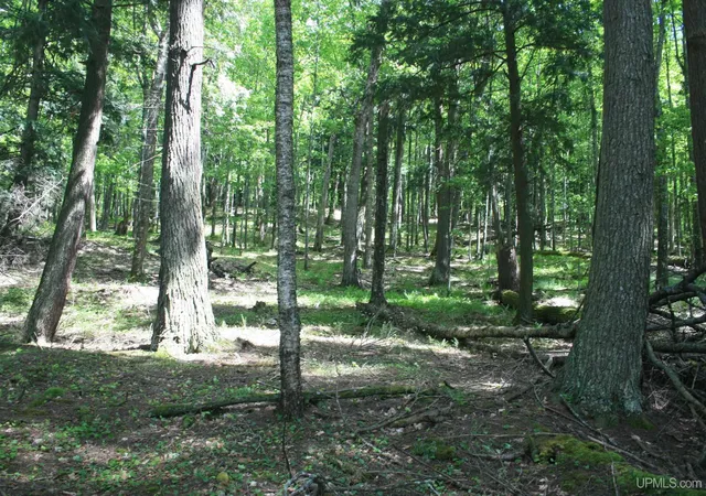 Photo 5 of Land for sale at Tbd Smoky Lake Rd, Stambaugh, MI 49935 | MLS# 50208668 | Listing updated on 2026-06-17
