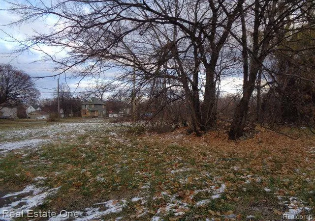 Photo 3 of Sale Pending at 3066 Beals St, Detroit, MI 48214 | MLS# 60276596 | Listing updated on 2025-06-30
