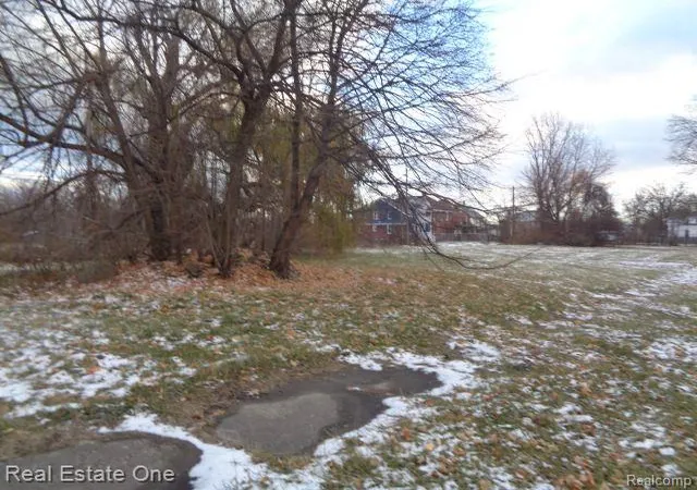 Photo 4 of Sale Pending at 3066 Beals St, Detroit, MI 48214 | MLS# 60276596 | Listing updated on 2025-06-30