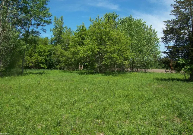 Homes for sale in Kimball, MI | Lot 1 Lapeer Rd Rd, Kimball, MI 48074 | MLS# 50209870