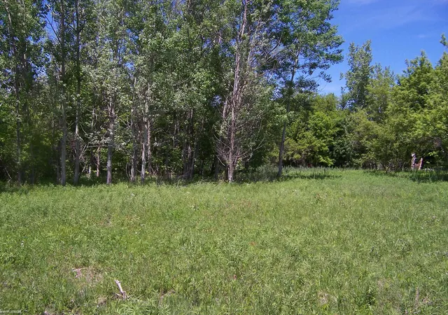 Homes for sale in Kimball, MI | Lot 1 Lapeer Rd Rd, Kimball, MI 48074 | MLS# 50209870