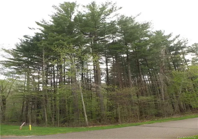 Homes for sale in Pinckney, MI | Lot 37 Alta Vista Dr, Pinckney, MI 48169 | MLS# 60363855