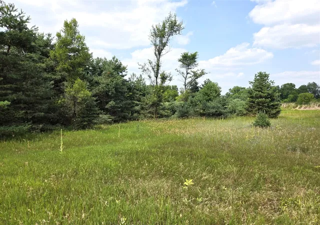 Photo 3 of Sale Pending at 00 W Stanton Rd, Trufant, MI 49347 | MLS# 70546970 | Listing updated on 2026-09-11