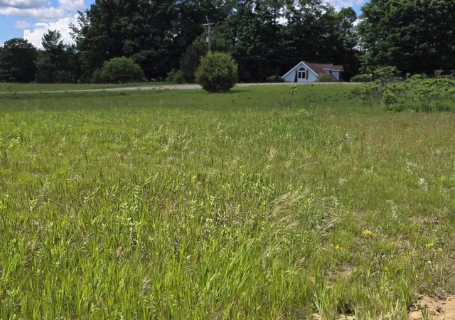 Homes for sale in Mesick, MI | Kay Rd Guthrie Rd, Mesick, MI 49668 | MLS# 80070779