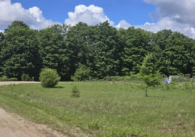Homes for sale in Mesick, MI | Kay Rd Guthrie Rd, Mesick, MI 49668 | MLS# 80070779