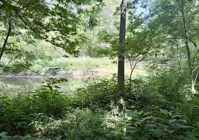 Photo 4 of Land for sale at 7315 Bothwell Hwy, Hudson, MI 49247 | MLS# 70549757 | Listing updated on 2026-08-12