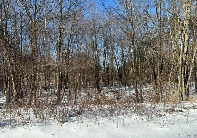 Photo 3 of Sale Pending at Lot 21 Forest Gate, Grand Blanc, MI 48439 | MLS# 60367278 | Listing updated on 2026-01-26