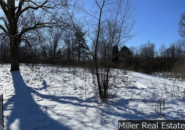 Photo 3 of Land for sale at 364 S M 37 Hwy, Hastings, MI 49058 | MLS# 70512317 | Listing updated on 2026-06-17